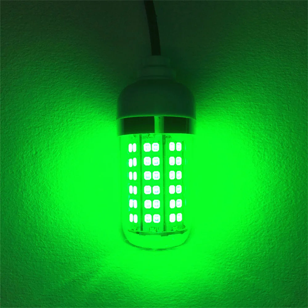 Underwater LED Fishing Light | AC/DC 12V | IP68 Waterproof | Multicolour Bait Attractor for Prawns, Squid & Fish