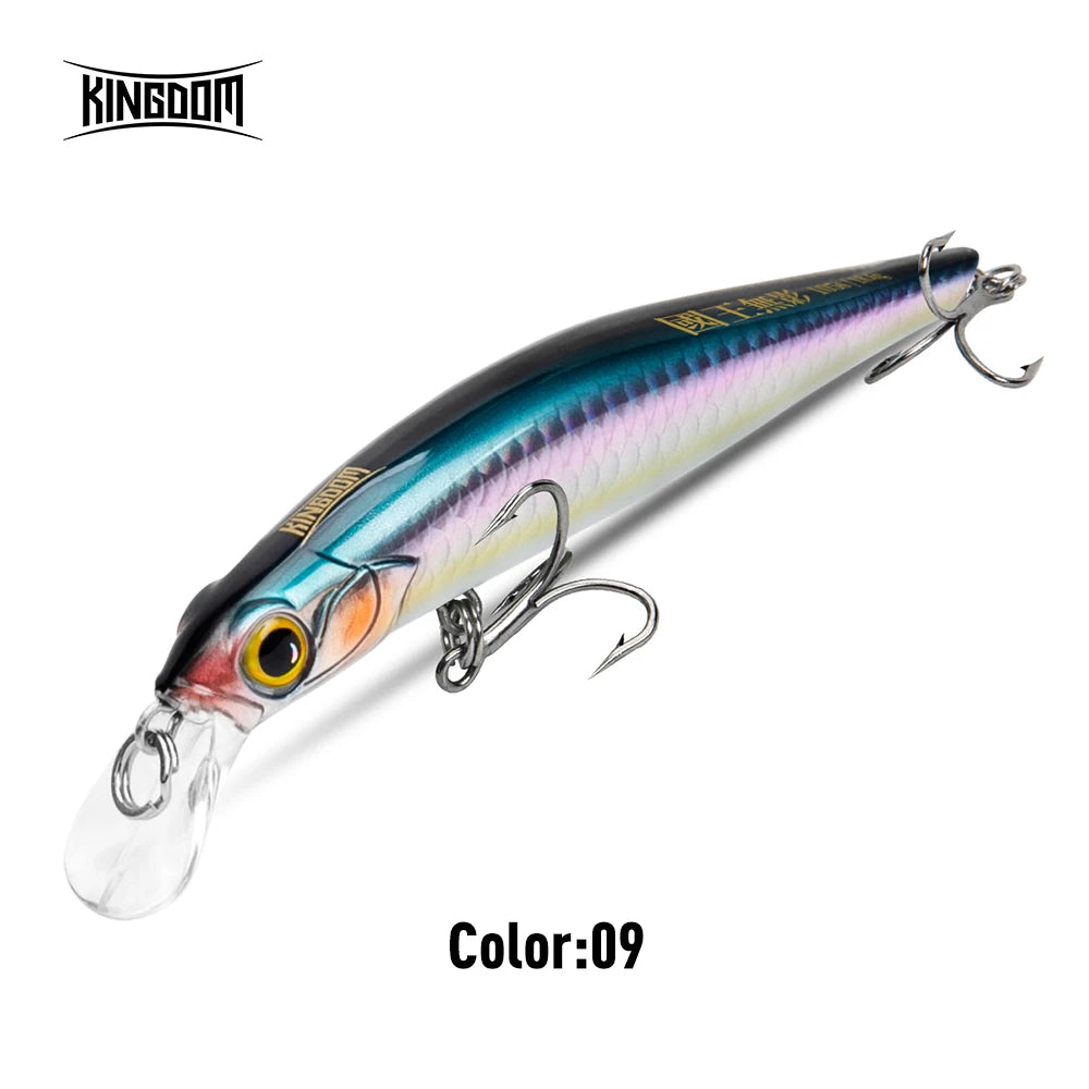 Kingdom Sinking Minnow Hardbody Lure | Saltwater Crankbait Fishing Lures