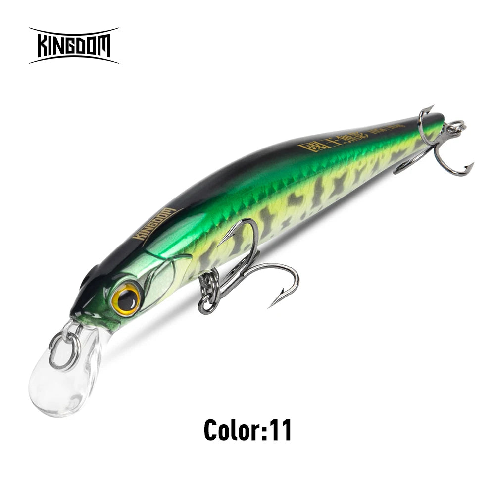 Kingdom Sinking Minnow Hardbody Lure | Saltwater Crankbait Fishing Lures