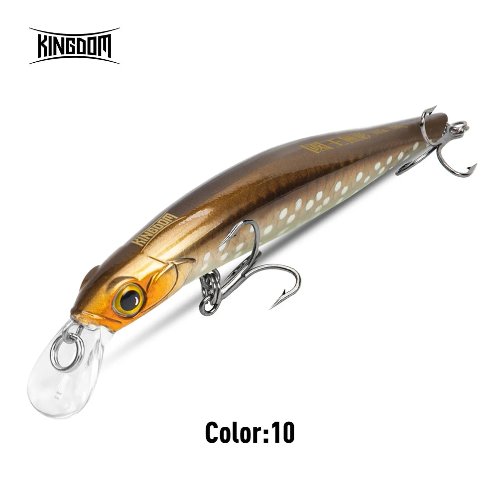 Kingdom Sinking Minnow Hardbody Lure | Saltwater Crankbait Fishing Lures