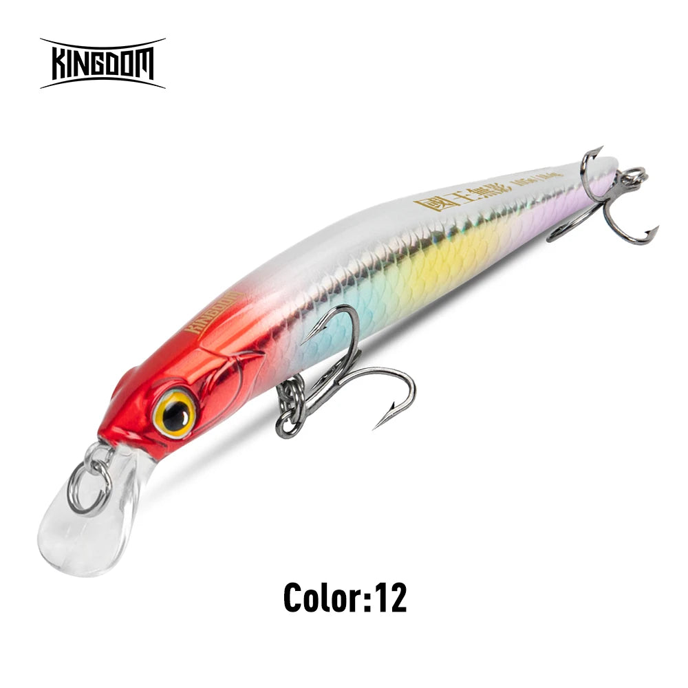 Kingdom Sinking Minnow Hardbody Lure | Saltwater Crankbait Fishing Lures