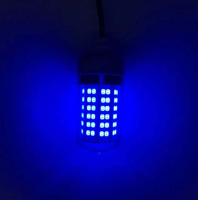 Underwater LED Fishing Light | AC/DC 12V | IP68 Waterproof | Multicolour Bait Attractor for Prawns, Squid & Fish
