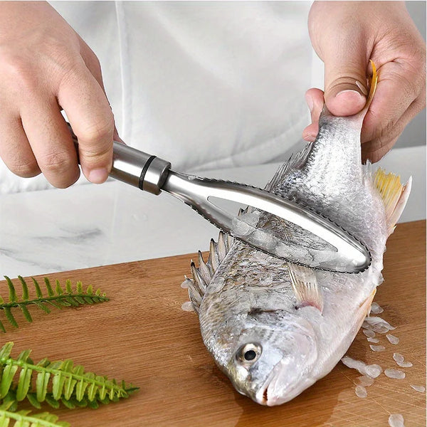Stainless Steel Fish Scaler | Fish Scale Remover & Cleaning Tool
