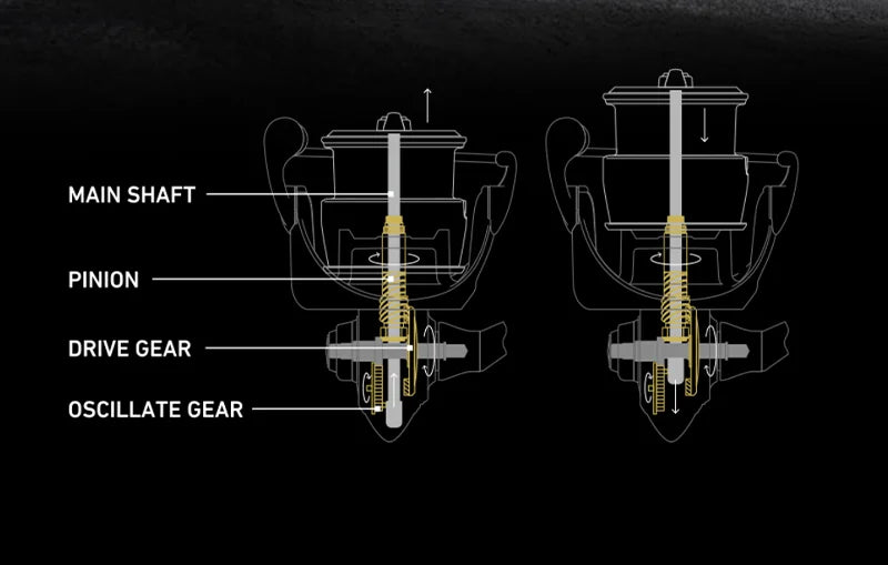 Seasir P-Series Prospec Carbon Fiber Spinning Reel – 9 Bearings, 6.2:1 Gear Ratio (2000 & 3000 Sizes)