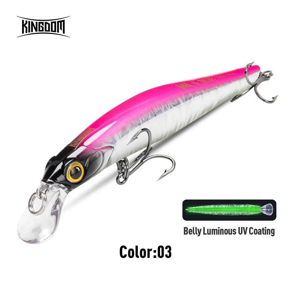 Kingdom Sinking Minnow Hardbody Lure | Saltwater Crankbait Fishing Lures