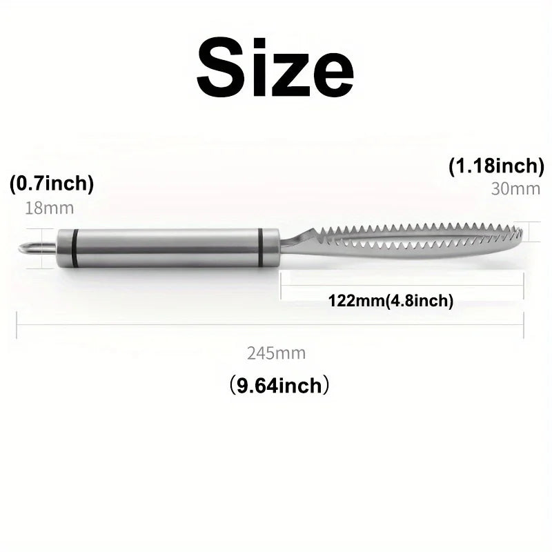 Stainless Steel Fish Scaler | Fish Scale Remover & Cleaning Tool