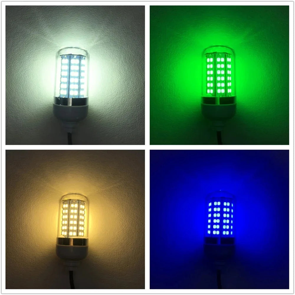 Underwater LED Fishing Light | AC/DC 12V | IP68 Waterproof | Multicolour Bait Attractor for Prawns, Squid & Fish