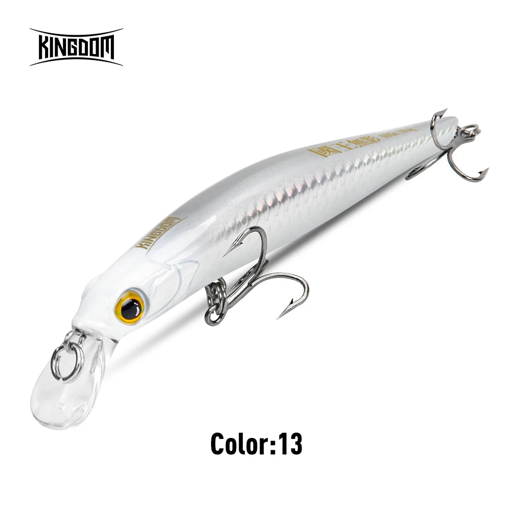 Kingdom Sinking Minnow Hardbody Lure | Saltwater Crankbait Fishing Lures